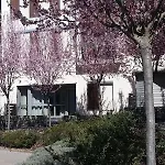 Lägenhet Valle De Tena - Golf & Relax - Esqui - Pirineo De Huesca Sabiñánigo
