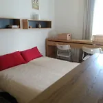 Apartment Valle De Tena - Golf & Relax - Esqui - Pirineo De Huesca Sabinanigo