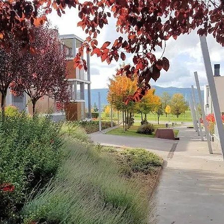 Esqui - Pirineo De Huesca - Golf & Relax - Valle De Tena Lägenhet