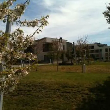 Apartment Alta Montana - Golf & Relax - Pirineo De Huesca - Valle De Tena *