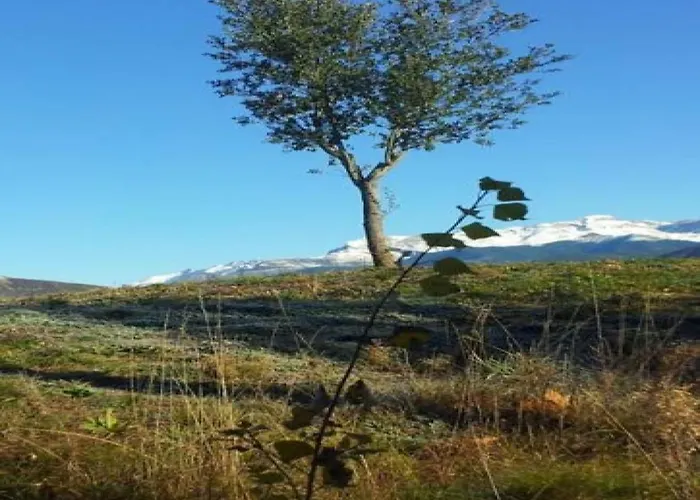 Esqui - Pirineo De Huesca - Golf & Relax - Valle De Tena Lägenhet *